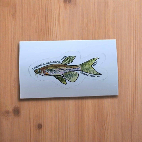Mystery Nano Fish Stickers 5 pack
