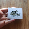 Pick your own nano fish sticker