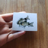 Mystery Nano Fish Stickers 5 pack
