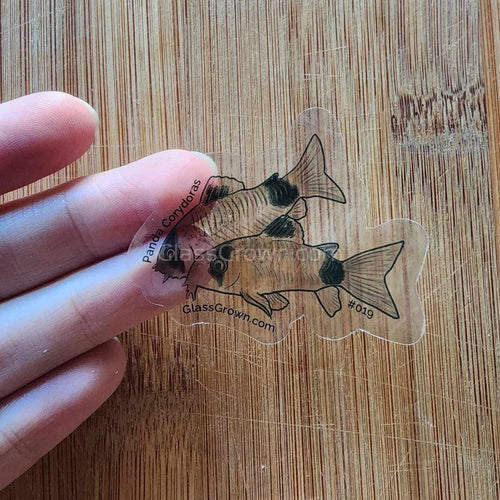 Mystery Nano Fish Stickers 5 pack