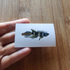 Pick your own nano fish sticker