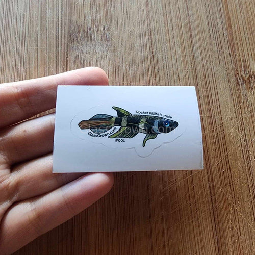 Mystery Nano Fish Stickers 5 pack