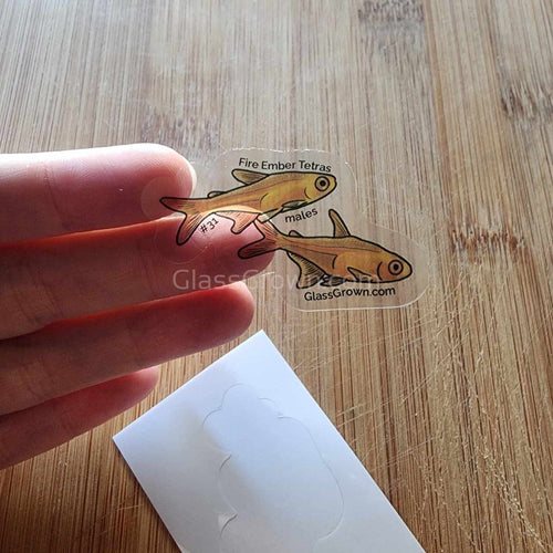 Mystery Nano Fish Stickers 5 pack