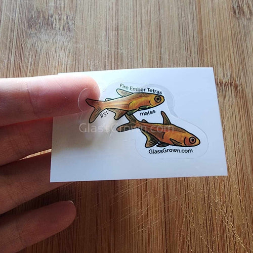 Pick your own nano fish sticker