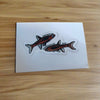 Mystery Nano Fish Stickers 5 pack