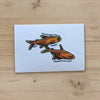 Mystery Nano Fish Stickers 5 pack