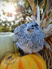 The Fee  Collection Hatching Eggs
