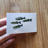 Mystery Nano Fish Stickers 5 pack