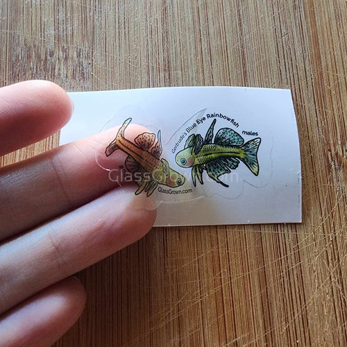 Pick your own nano fish sticker