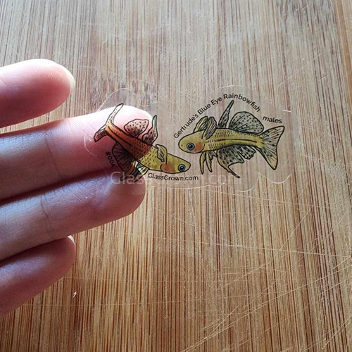 Mystery Nano Fish Stickers 5 pack