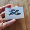Mystery Nano Fish Stickers 5 pack