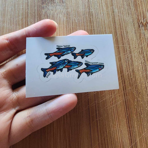 Mystery Nano Fish Stickers 5 pack