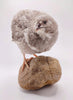 Shades of Gray Collection Hatching Eggs