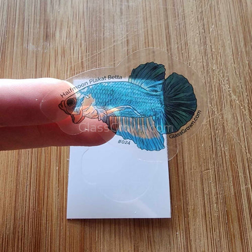 Mystery Nano Fish Stickers 5 pack