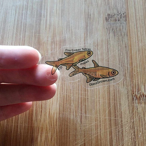Mystery Nano Fish Stickers 5 pack