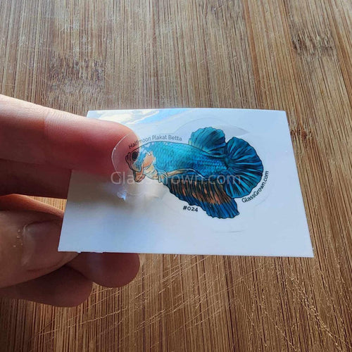 Mystery Nano Fish Stickers 5 pack