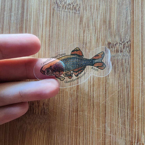 Mystery Nano Fish Stickers 5 pack