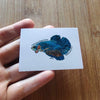Mystery Nano Fish Stickers 5 pack
