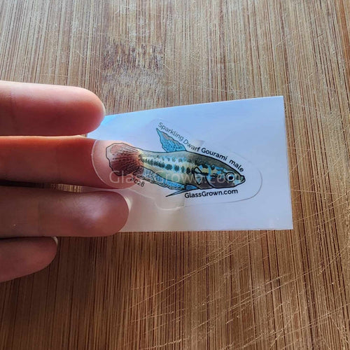 Mystery Nano Fish Stickers 5 pack