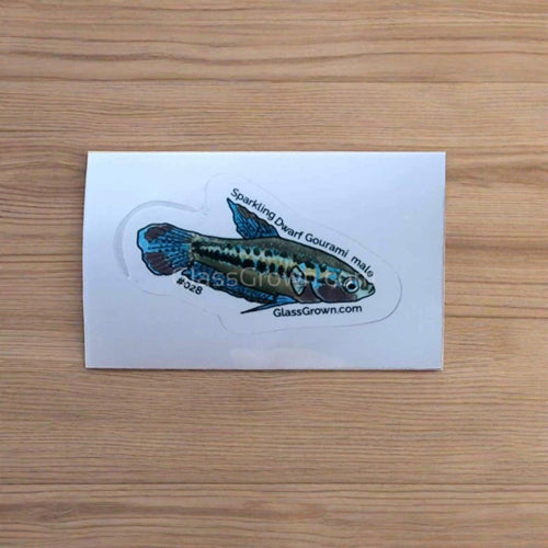 Mystery Nano Fish Stickers 5 pack