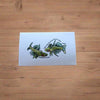 Mystery Nano Fish Stickers 5 pack