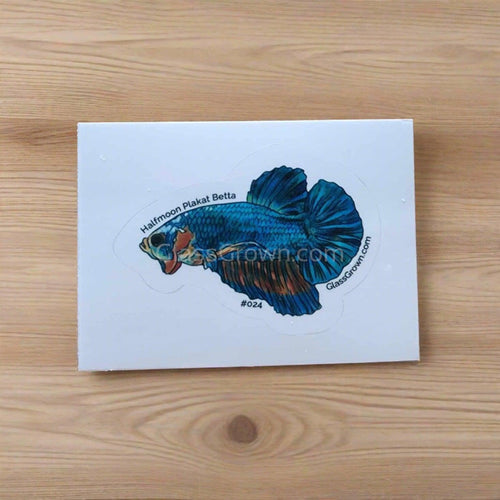 Mystery Nano Fish Stickers 5 pack