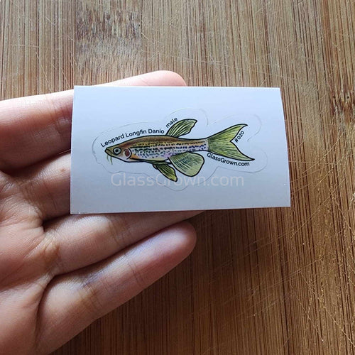Mystery Nano Fish Stickers 5 pack