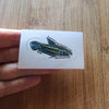 Pick your own nano fish sticker