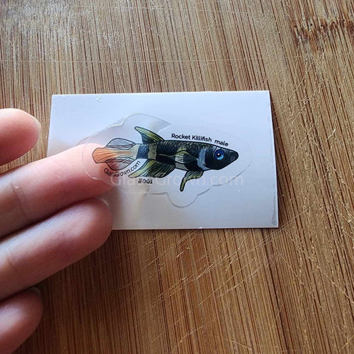 Pick your own nano fish sticker