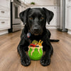 Honey Pot Dog eCup Treat Dispenser | Durable PUP-X Rubber Enrichment Toy | USA Made - Limited Edition Apple Green