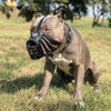 ''Aztec'' Basket Muzzle Black Bestia