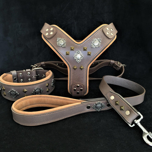 AZTEC BIG dog SET - Harness - collar - lead. Grey