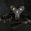 AZTEC BIG dog SET - Harness - collar - lead. Black