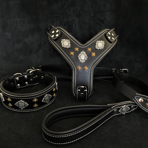 AZTEC BIG dog SET - Harness - collar - lead. Black
