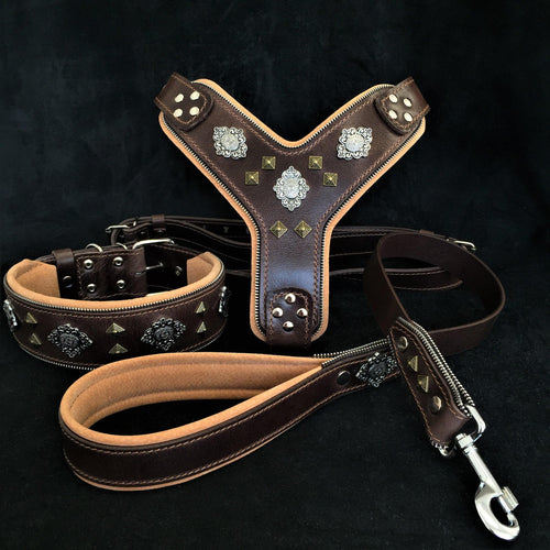 AZTEC BIG dog SET - Harness - collar - lead. Brown
