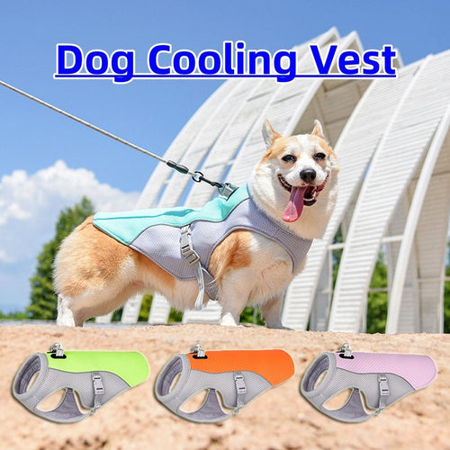 Summer Cooling Vest For Dogs