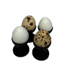 Mini Egg Cup Set, Quail Egg Holders, Set of 4