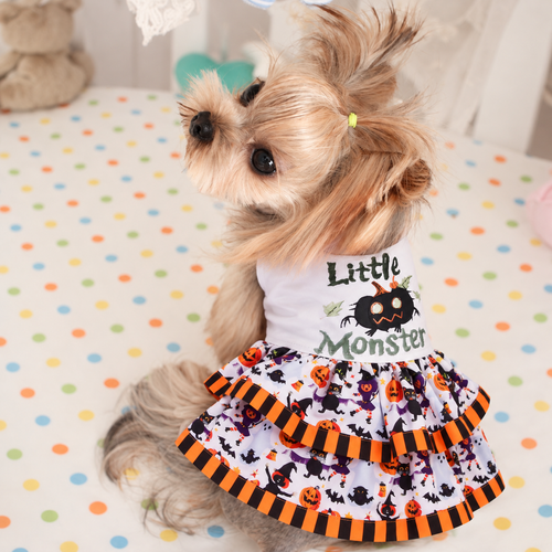 Little Monster Halloween Pet Dress