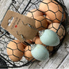 Quail Egg Earrings, Celadon