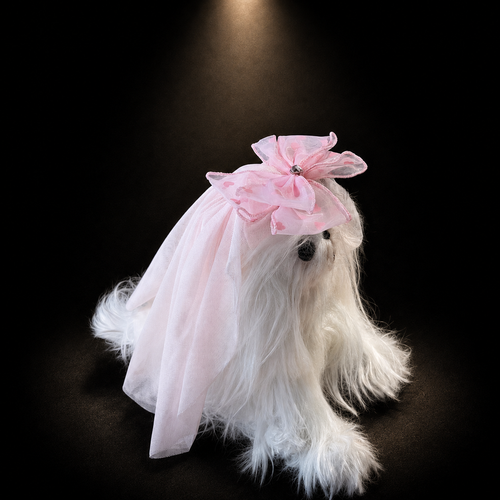 Pink Blue Tulle Bow Pet Veil Hair Clip