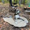 Bed 'n a Bag Travel Dog Bed