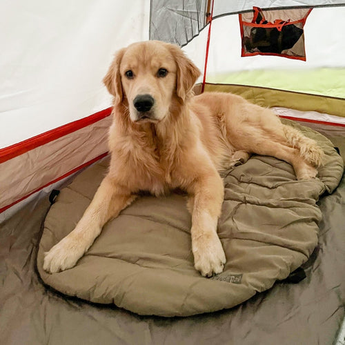 Bed 'n a Bag Travel Dog Bed