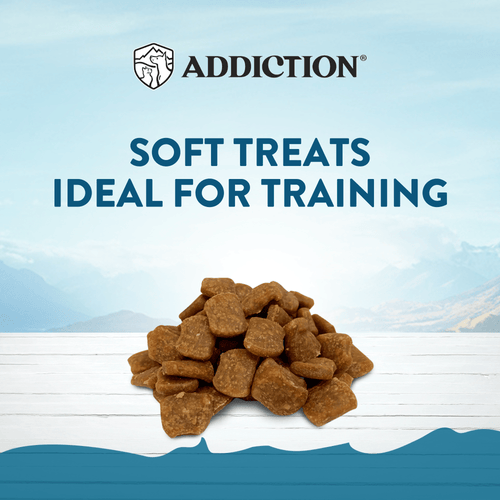 Beef Meaty Bites - Hypoallergenic Dog Treats
