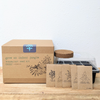 Grow an Indoor Jungle Houseplant Seed Kit