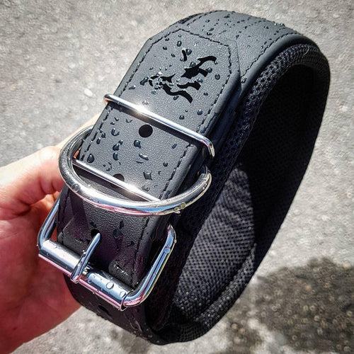 BESTIA DOG SPORT COLLAR 2 inch ultra heavy duty