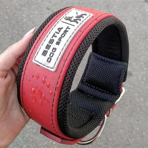 BESTIA DOG SPORT COLLAR RED STAINLESS STEEL