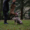 BESTIA DOG SPORT HANDLE COLLAR