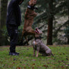 BESTIA DOG SPORT HANDLE COLLAR