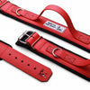 BESTIA DOG SPORT HANDLE COLLAR