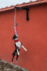 BESTIA DOG SPORT Spring Pole Set